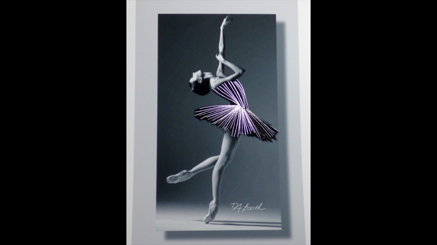 008 Black Swan Tiny Dancer with Metallic Edged Paper
