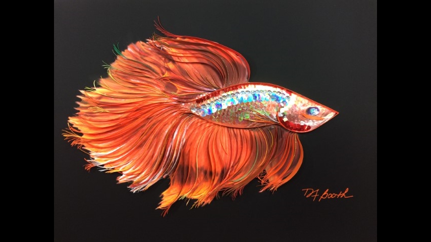 070 Orange Beauty Betta Fish